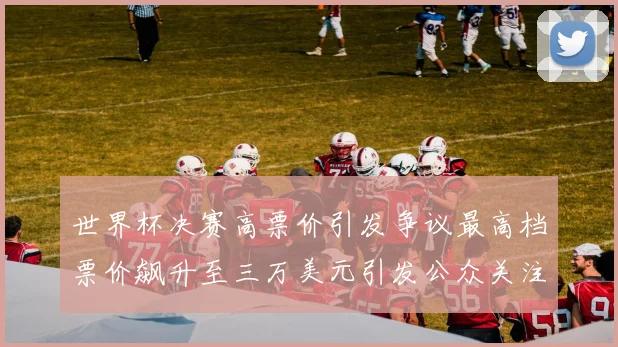 世界杯决赛高票价引发争议最高档票价飙升至三万美元引发公众关注