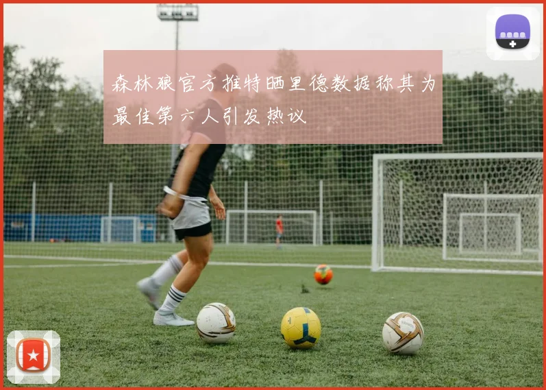 森林狼官方推特晒里德数据称其为最佳第六人引发热议